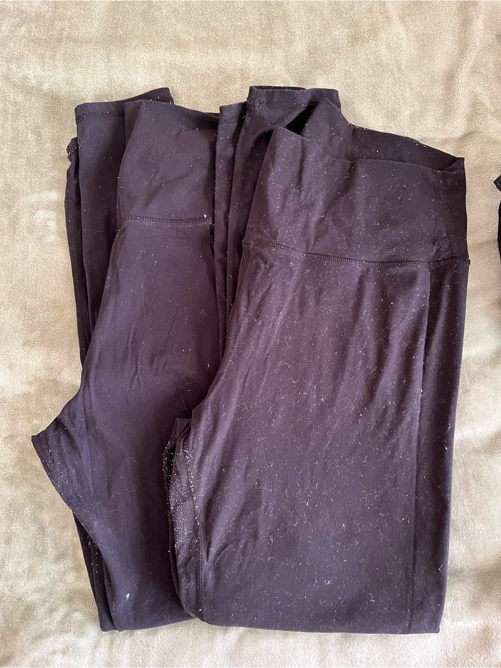 2 pairs of Black High-Waist Leggings - Solid Black